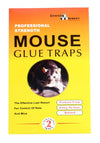Mouse Glue Traps: Effective and Humane Pest Control Solution CD319 Origin manufacturing
